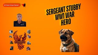 Fascinating History of Sergeant Stubby [upl. by Grearson633]