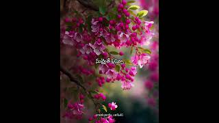 sreekanthvellulli anando brahma govindo song whatsapp status telugu [upl. by Gewirtz535]