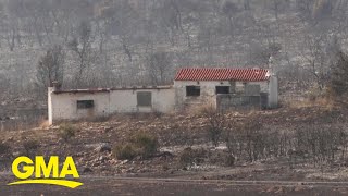 Wildfires rage in Greece  GMA [upl. by Dorri]