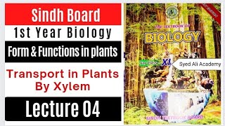 transport in plant  xylem  vessels  tracheids  forms and functions in plants [upl. by Gerrald]