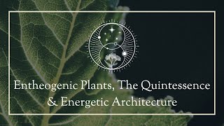 Entheogenic Plants The Quintessence amp Energetic Architecture [upl. by Oetsira]