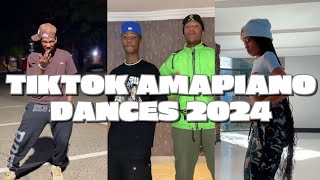 Best of Amapiano Dance Challenges 2024 [upl. by Duffie]