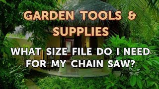 What Size File Do I Need for My Chain Saw [upl. by Norene]