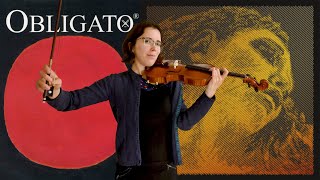 Violin String Comparison  Evah Pirazzi Gold vs Obligato  playing Beatiful Love Jazz Standard [upl. by Melgar747]