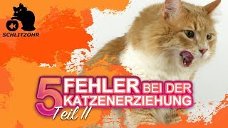 🔥5 Fehler in der Katzenerziehung  Tipps zur Erziehung von Katzen  Katze erziehen  Teil 2 [upl. by Ylenaj467]