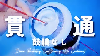 【ASMR】脳内貫通耳かき・鼓膜なし【イヤホン必須】圧刺激強め・ほぼ声なし・作業睡眠用Brain Penetrating Ear Cleaning [upl. by Adimra]