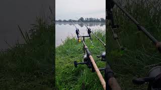 Fullrun action foryou love karpervissen peche running jhbaits carplife runvideo siren [upl. by Krahmer]