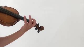 2 Unterrichtshilfe zum Mitspielen 1 Lage Pachelbel Canon in D  Tempo mässig [upl. by Eijneb]