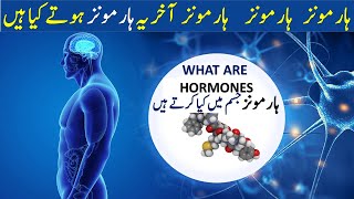 Hormones  What are Hormones amp Their Function in body UrduHindi  Hormones kaisy kam karty hain [upl. by Notslar]