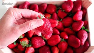 Cómo conservar Fresas para que duren más días [upl. by Samuella792]