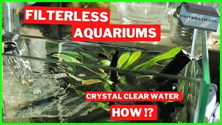 Get your Aquarium water Crystal Clear  3 Gallon Nano  Bumblebee Goby [upl. by Janicki691]