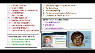 Mucopolysaccharidosis  Simplified Metabolic Disorders [upl. by Artined]