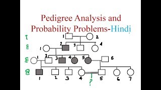 Pedigree Analysis and Probability Problems Hindi [upl. by Jammie413]