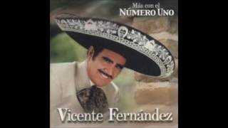 BOHEMIO DE AFICIÓN  VICENTE FERNANDEZ FULL AUDIO [upl. by Tootsie]