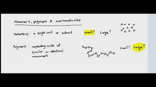 22 Monomers Polymers and Macromolecules Cambridge International AS amp A Level Biology [upl. by Baxy]