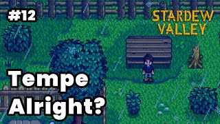 Tempe apa yang gapapa  Stardew Valley PC [upl. by Nnylrac]