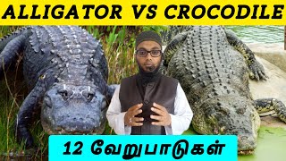 12 Different between Crocodile Vs Alligator  Arham Usmani Umari [upl. by Sahcnip]