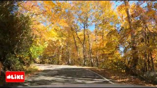 Ride along from Gate City Virginia to Norton Virginia to see the beautiful fall leaves with music [upl. by Aiveneg]