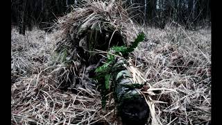 Stealth Music  Ghillie [upl. by Ahsirtap]