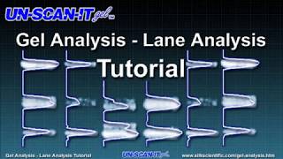 Gel Analysis  Lane Analysis Tutorial [upl. by Montgomery554]