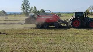 Fendt TRACTOR baling hay with a Massey Ferguson large square baler [upl. by Naimed350]