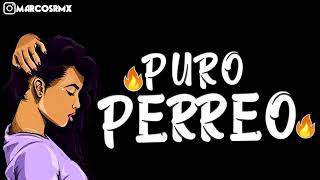 PURO PERREO 9🔥 BRASILERO 2019 MARCOS RMX [upl. by Ahsekal]