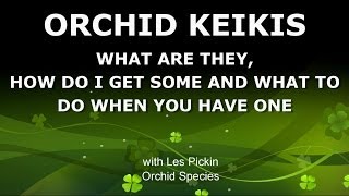 ORCHID KEIKIS  WHAT ARE THEY HOW TO GET ONE AND WHAT TO DO WITH IT [upl. by Matty]