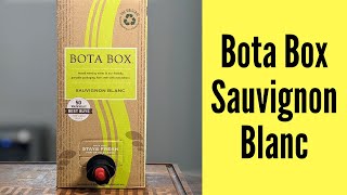 Bota Box Sauvignon Blanc Wine Review [upl. by Eilegna]