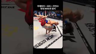 플라잉니킥  유도식 테익다운  주짓수 완벽한 MMA의 정석 [upl. by Ahselrak]