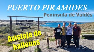 Puerto Pirámides y Península de Valdés Chubut [upl. by Essinger]