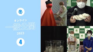 農研機構2023冬のオンライン一般公開生配信の「絹糸ができるまで」コーナー [upl. by Eelrak]