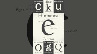 The Evolution of Humanist Fonts A Journey Through History [upl. by Nellek]