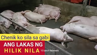 Chenik ko sila sa gabi ang lakas ng HILIK nila l Dodong Villaran [upl. by Lesnah]