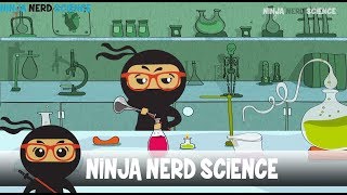 Welcome to Ninja Nerd Science [upl. by Amer]