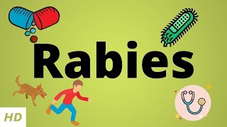 Rabies Causes SIgn and Symptoms Diagnosis and Treatment [upl. by Abbottson]