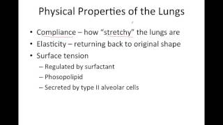 Mechanics of Ventilation [upl. by Esoryram848]