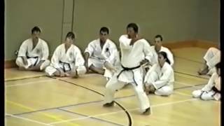 Shirai Sensei Heian Sandan 1994 [upl. by Einnoc252]