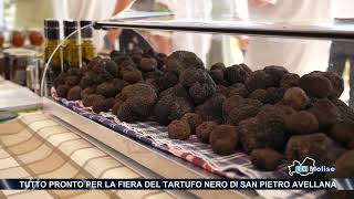 Tutto pronto per la fiera del tartufo nero di San Pietro Avellana [upl. by Smaj]