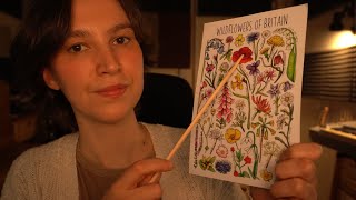 ASMR Gentle Follow My Instructions Visual Triggers [upl. by Drawyeh878]