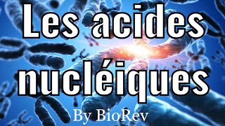 La structure des acides nucléiques [upl. by Mandelbaum]