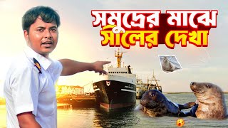 সমুদ্রের মাঝে সীলের দেখা Sailors vlog  Marine Engineer  Ridoy The Sailor [upl. by Ailehs]