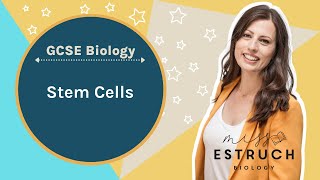 Stem Cells Plant adult and embryo stem cell uses and evaluation for GCSE Biology [upl. by Miles300]