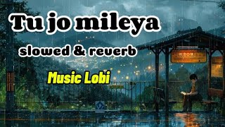 Tu jo mileya slowed and reverb songMusic Lobiviralvideo trendingsong aesthetic subscribe song [upl. by Chavez]