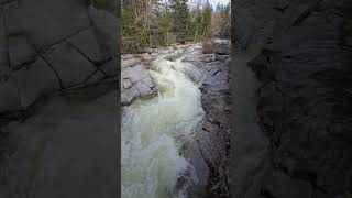 Upper Ammonoosuc and Silver Cascade Falls [upl. by Gussy662]