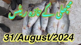 Fish Video  Latest Rates of Fish  Karachi fishery Market on 3182024 [upl. by Brien]