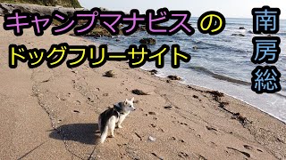 【キャンプマナビス】南房総の海もすぐそば！海のサイトと森のサイトがあるキャンプマナビスのドッグフリーサイト [upl. by Tavi535]