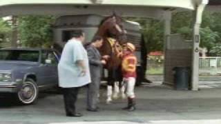 We bought the wrong horse Hilarious insurance commercial [upl. by Kylah]