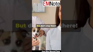 Dog Bite Wound Care 🐶 nursing doctor medical [upl. by Euhsoj]