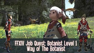 FFXIV Botanist BTN Job Quest Level 1  Way Of The Botanist [upl. by Douglas]