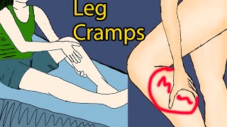 Night leg cramps  Leg Cramps at Night Causes Pain Relief amp Prevention [upl. by Talbert471]